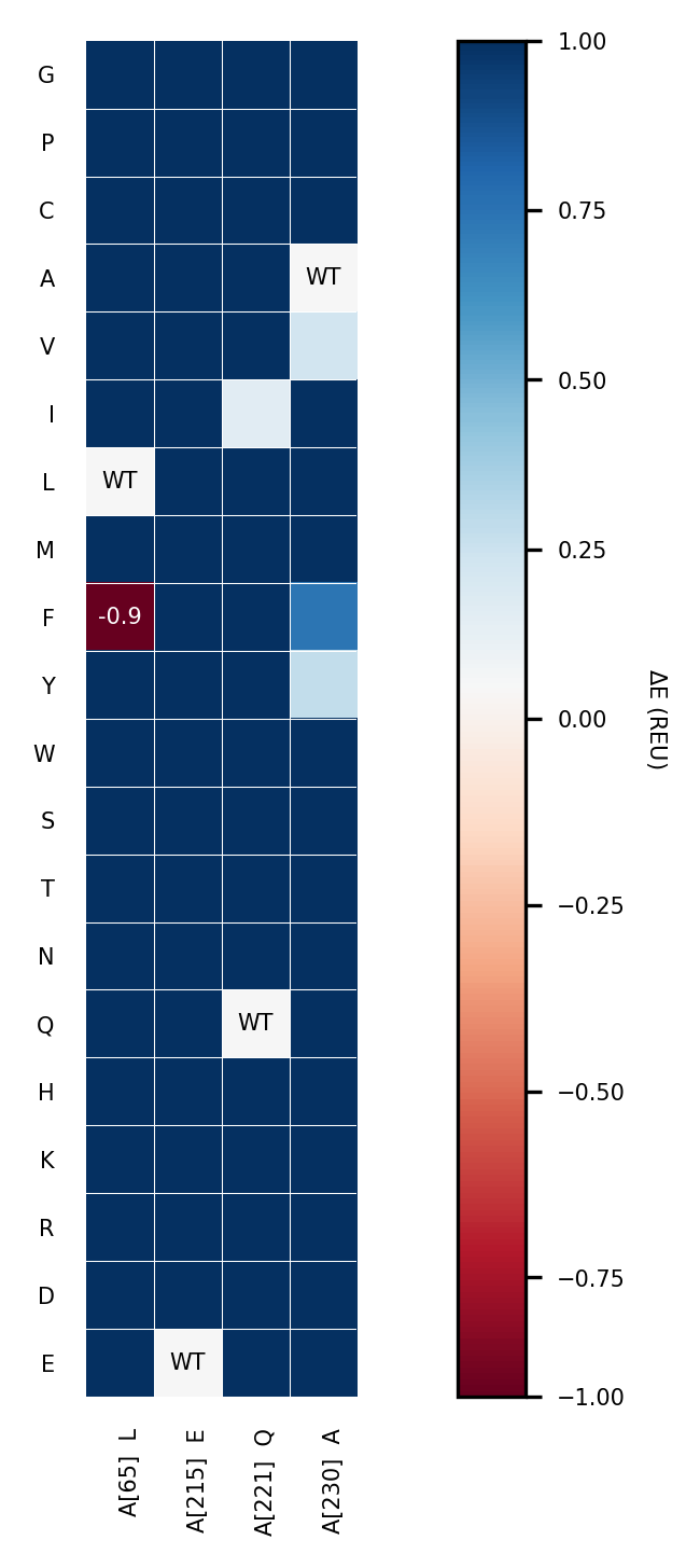 Heatmap with amino acid substitutions (y-axis) at four sequence positions (x-axis: A65L, A215E, A221Q, A230A) colored by predicted stability change, from dark red (stabilizing) through white (neutral, marked “WT” at wild-type residues) to dark blue (destabilizing). Nearly all substitutions are predicted destabilizing except one strongly stabilizing substitution, Leu65Phe.