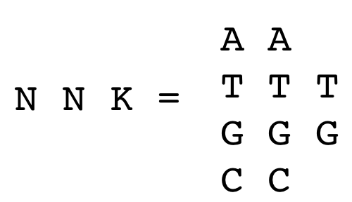 Diagram defining the NNK ambiguity codon: each of the two N positions can be A, T, G, or C, shown as a column of four stacked letters, while the K position is limited to G or T, shown as a column of two letters, illustrating the 4 × 4 × 2 = 32 possible codons in the NNK mixture.